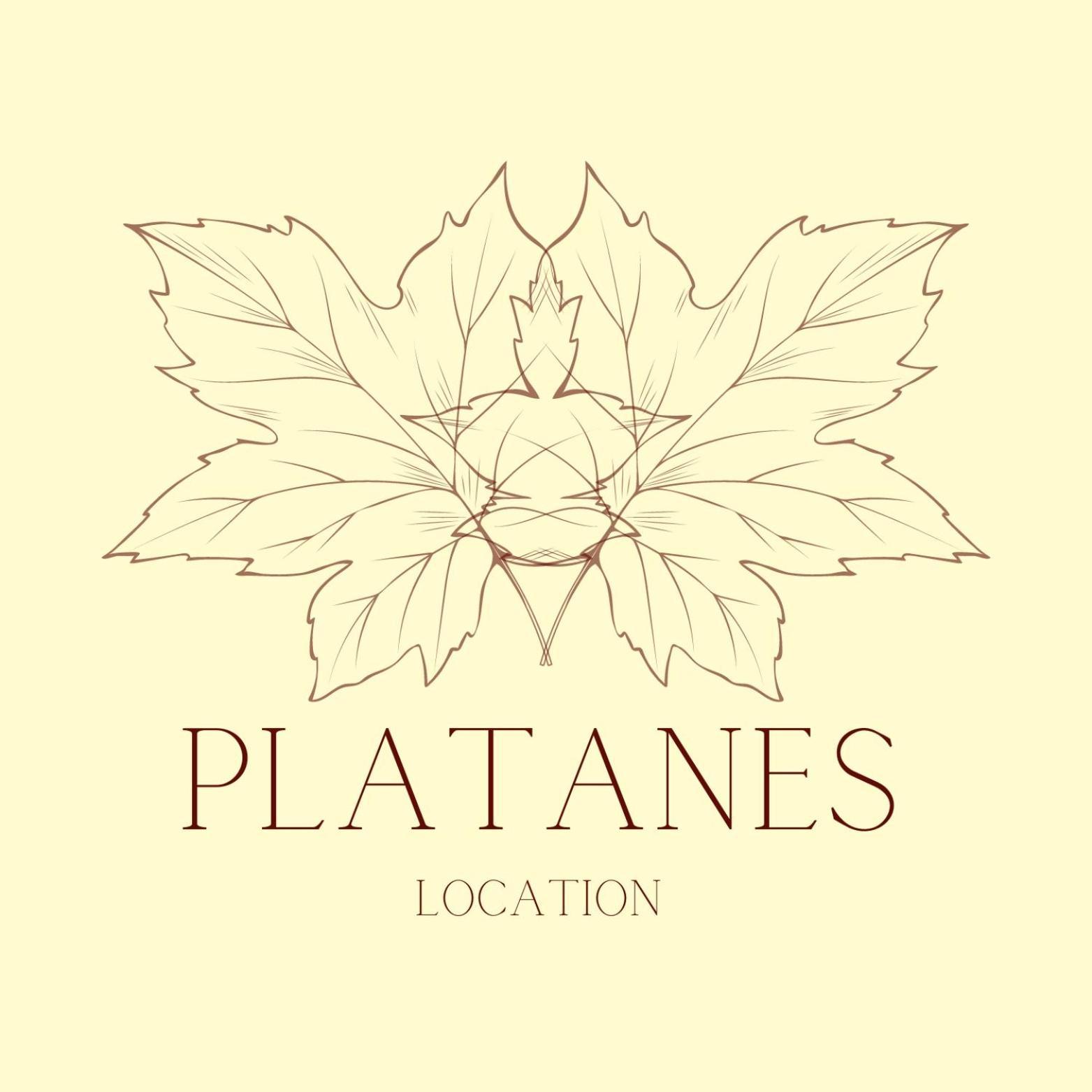 Hotel Platanes - Kb Hotel Group Etauliers Kültér fotó
